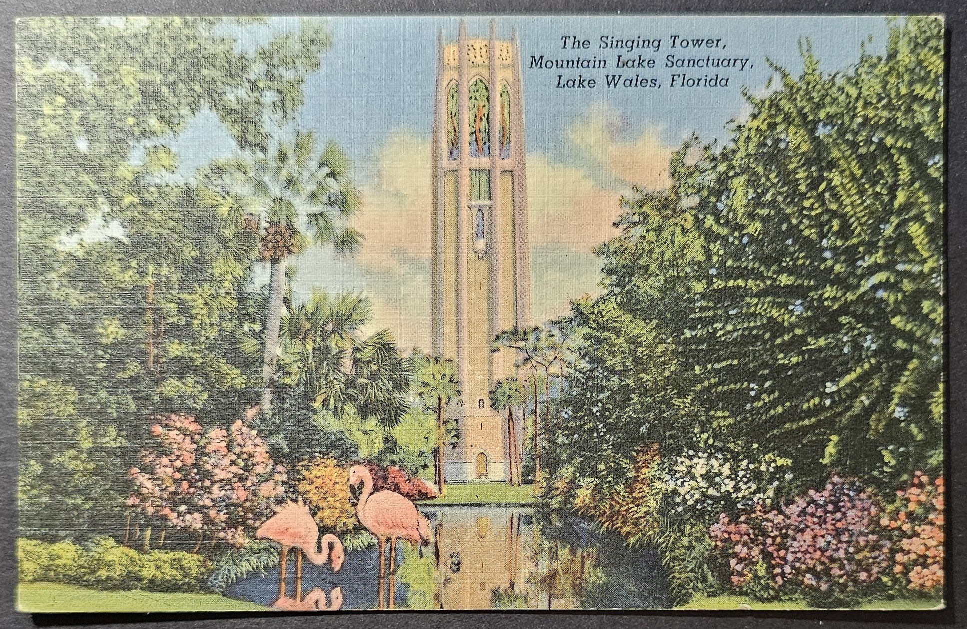 (image for) postcard USA - FL - Florida #0070